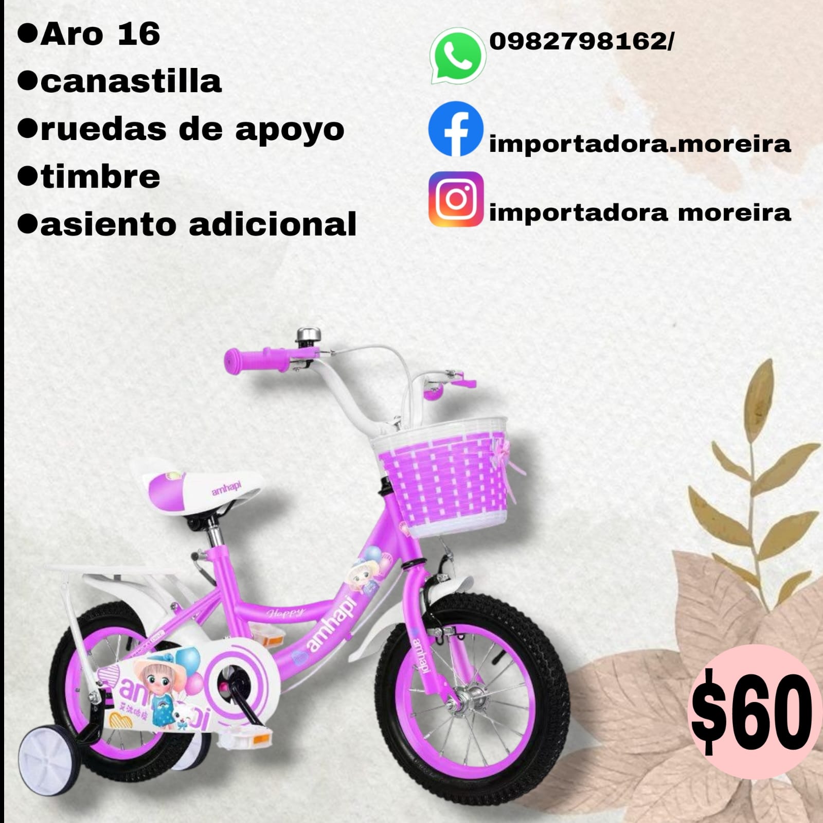 Bicicleta 12